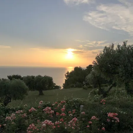 Tranquility * Possidi